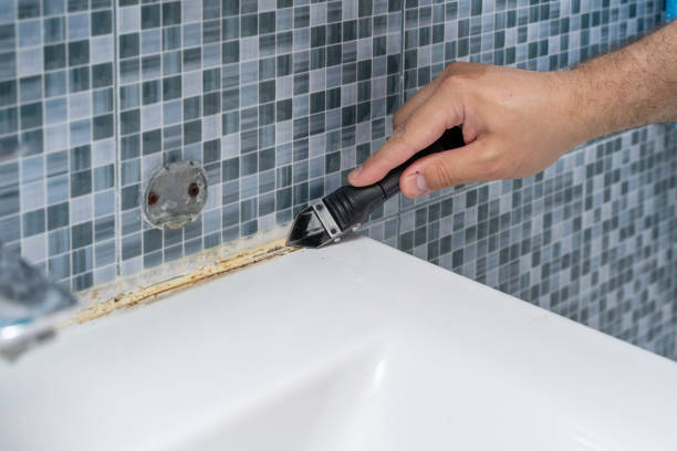 Best Residential Mold Removal  in Horseheads North, NY